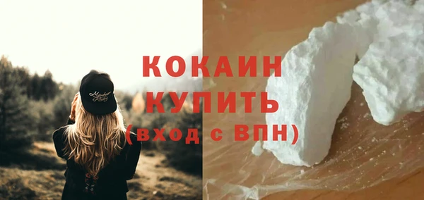 кокс Арсеньев