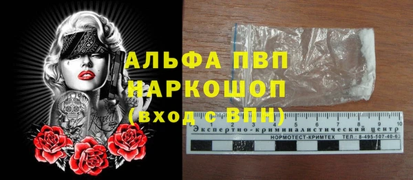 кокс Арсеньев