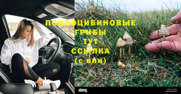 ECSTASY Армянск