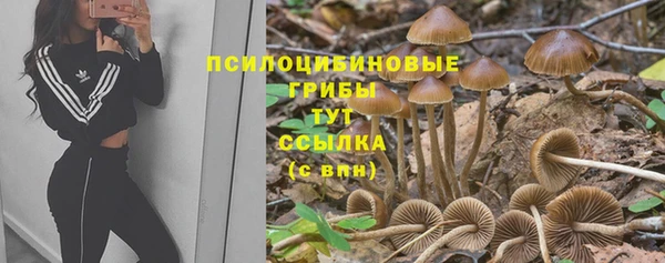 ECSTASY Армянск