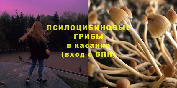 кокс Арсеньев